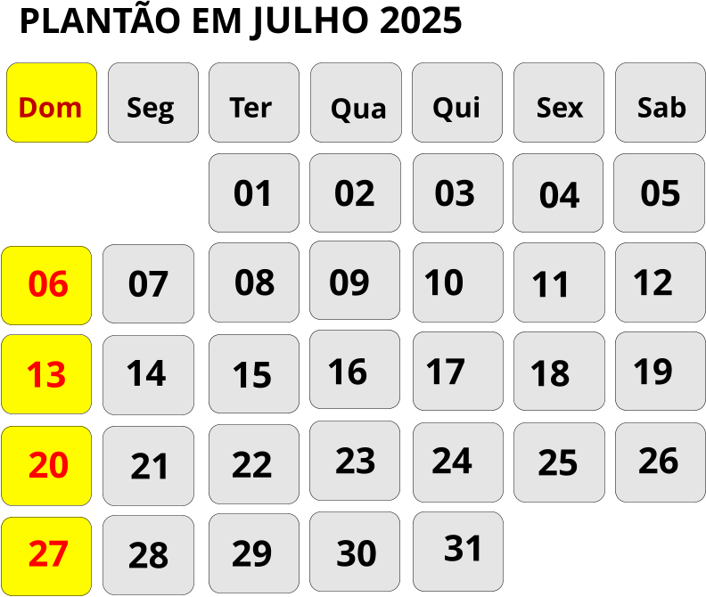 06 08 09 10 11 12 13 15 16 17 18 19 20 22 23 24 25 26 27 Dom Seg Ter Qua Qui Sex Sab 07 14 21 28 PLANTÃO EM julho 2025 01 29 02 03 04 05 30 31